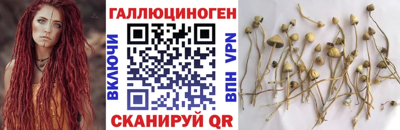 площадка состав  Губаха  Галлюциногенные грибы ЛСД  где купить наркоту 