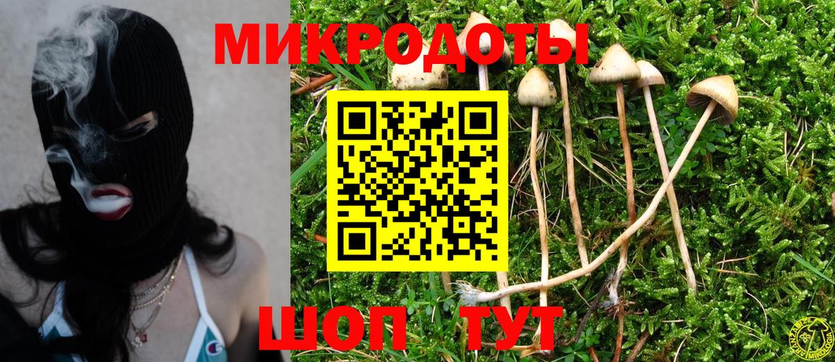 Галлюциногенные грибы Psilocybe Губаха