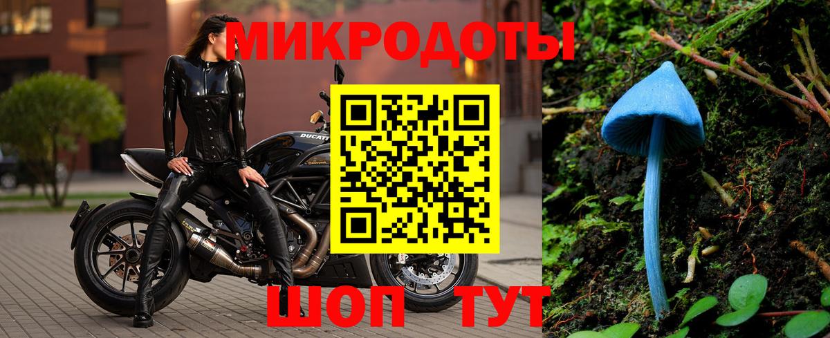 Псилоцибиновые грибы Magic Shrooms  где продают наркотики  Вход с VPN  Губаха  Галлюциногенные грибы GOLDEN TEACHER 