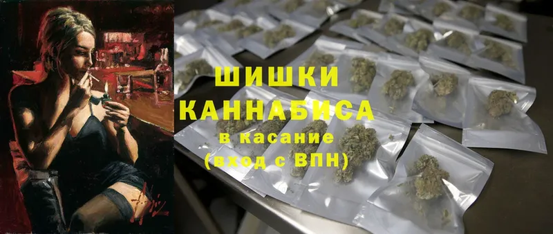 блэк спрут   Губаха  Бошки Шишки White Widow 